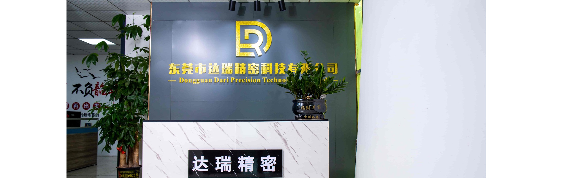Пластиковая плесень, литье под давлением, пластиковая оболочка,Dongguan Darui Precision Technology Co., Ltd.